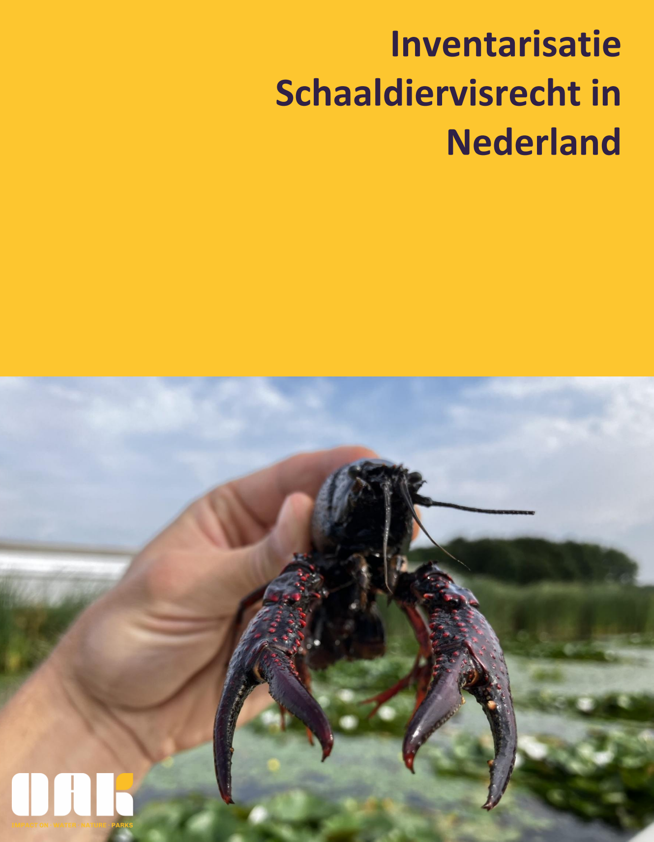 Schermafbeelding 2026-10-19 164419